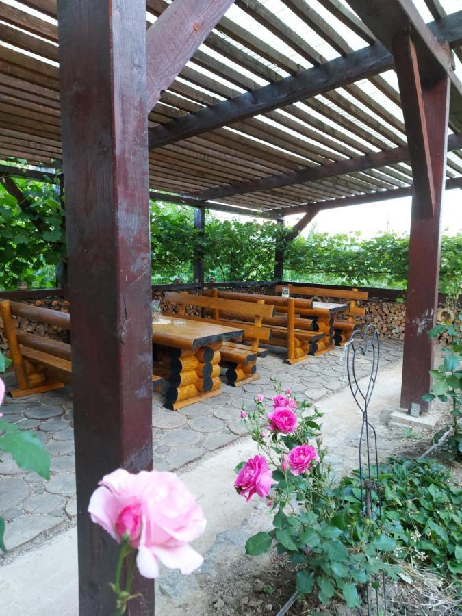 Kolpinghaus Bed & Breakfast Caransebes Luaran gambar