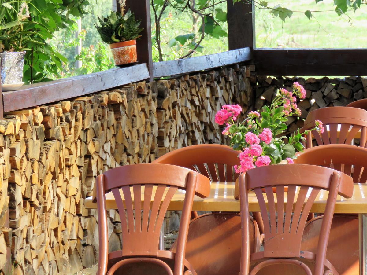 Kolpinghaus Bed & Breakfast Caransebes Luaran gambar