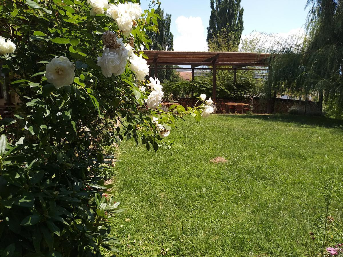 Kolpinghaus Bed & Breakfast Caransebes Luaran gambar
